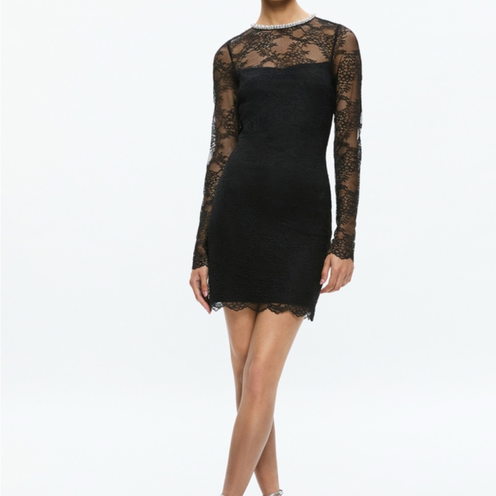 DELORA EMBELLISHED NECK LONG SLEEVE LACE MINI DRESS